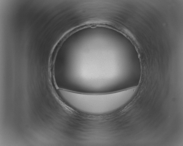 X0000073481124200607310844