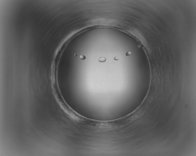 X0000073481128200607310844