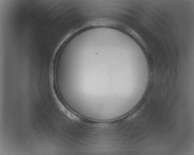 X0000073481130200607310844