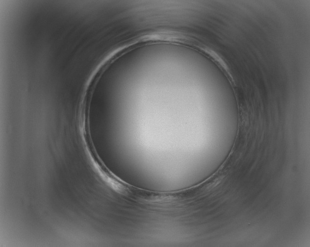 X0000073481131200607310844