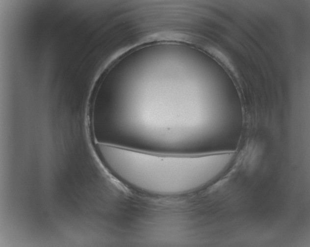 X0000073481133200607310844