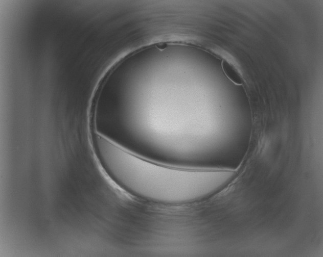X0000073481135200607310844