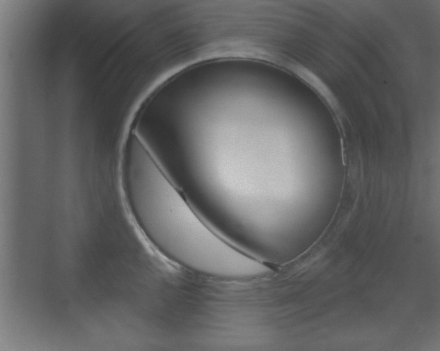 X0000073481144200607310844