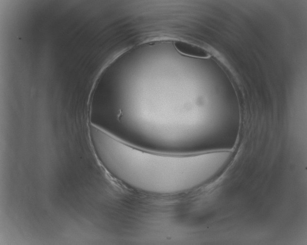 X0000073481145200607310844
