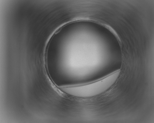 X0000073481148200607310844