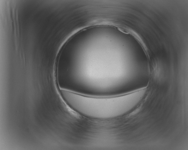 X0000073481149200607310844