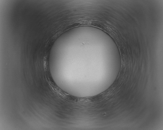 X0000073481154200607310844