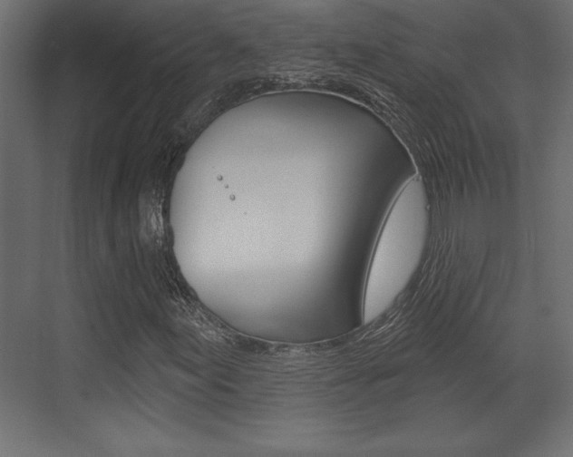 X0000073481155200607310844