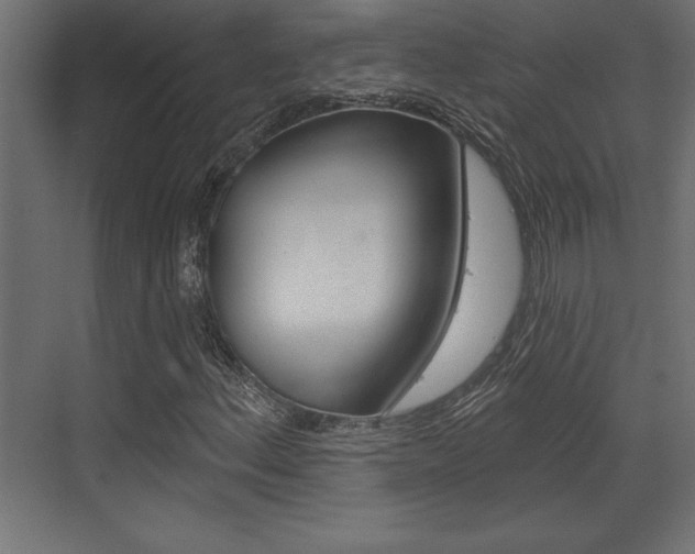 X0000073481156200607310844