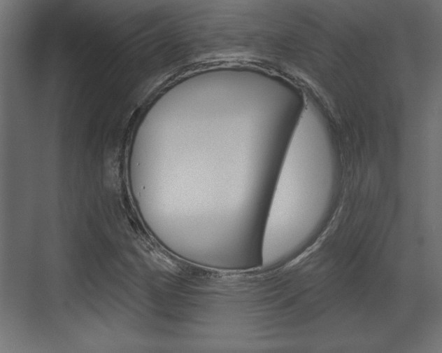 X0000073481162200607310843