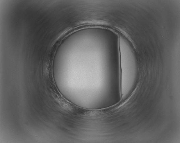 X0000073481163200607310843