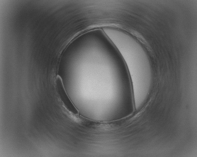 X0000073481177200607310843