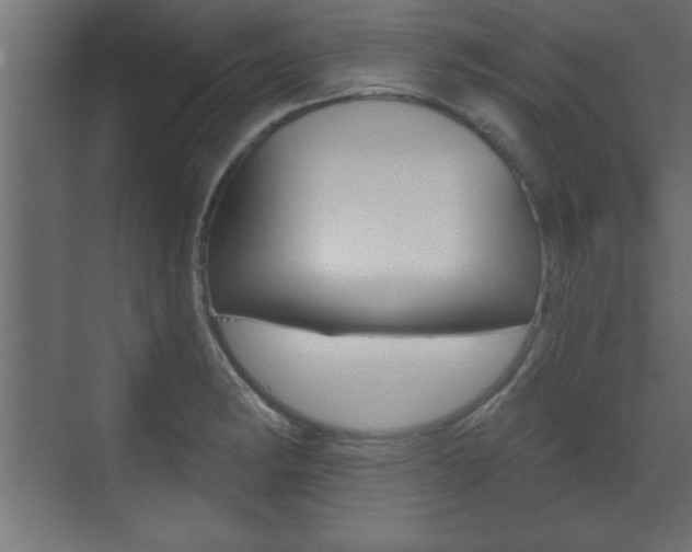X0000073481182200607310843
