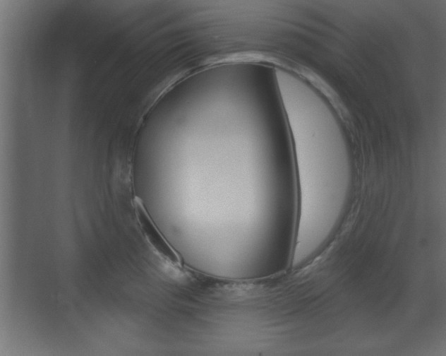 X0000073481193200607310843