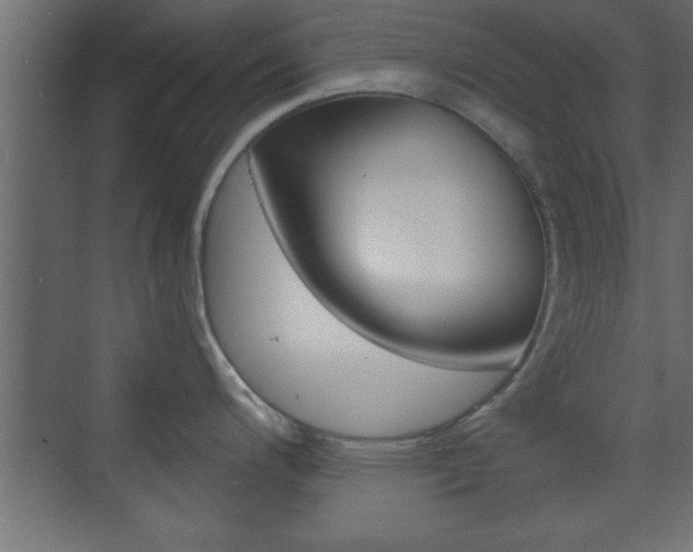 X0000073481200200607310843