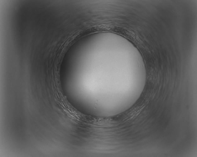 X0000073481201200607310842