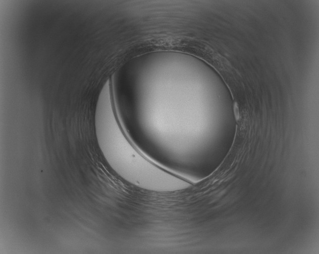 X0000073481202200607310842