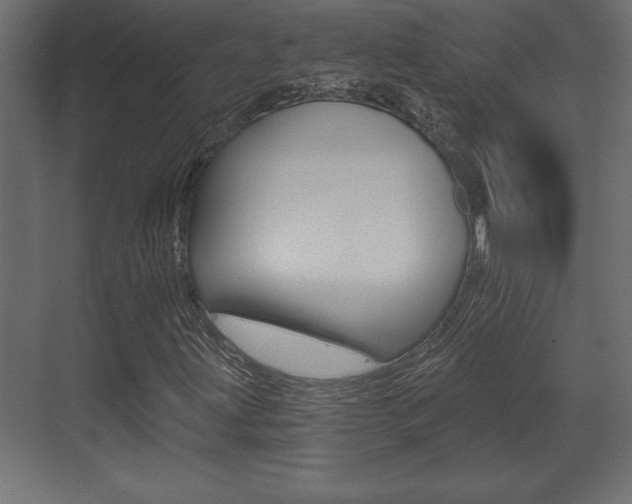 X0000073481203200607310842
