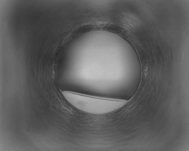 X0000073481204200607310842