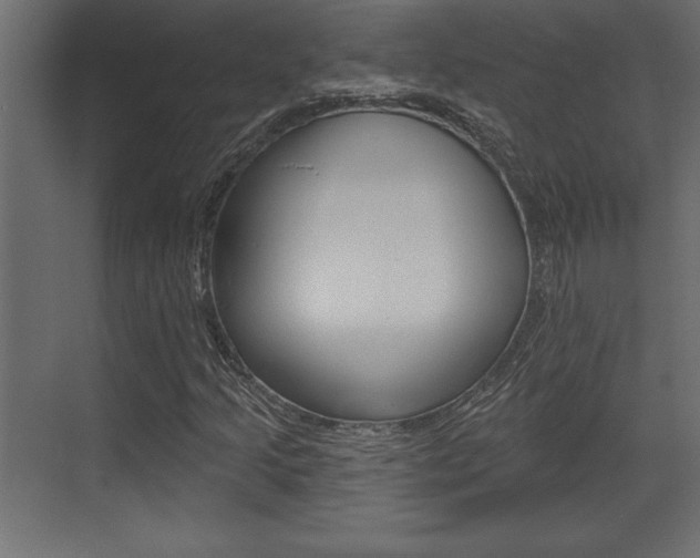 X0000073481205200607310842