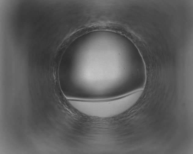 X0000073481206200607310842