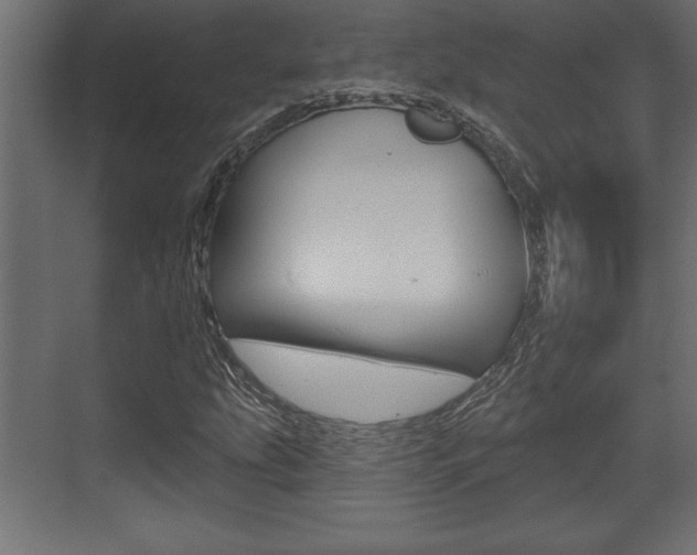 X0000073481207200607310842