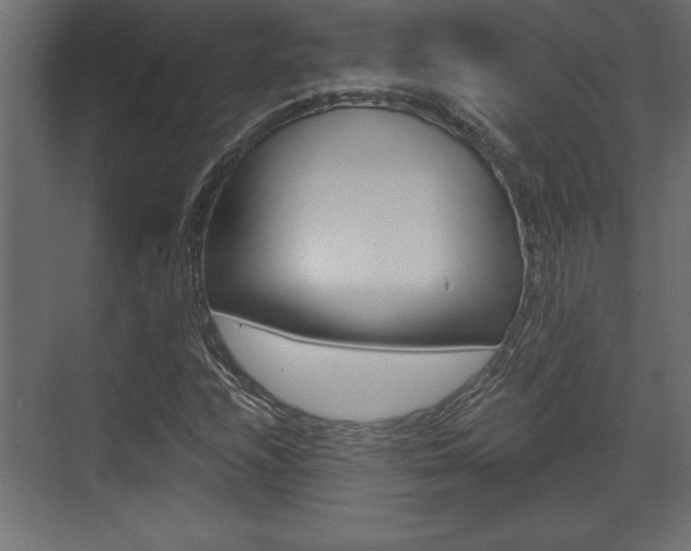 X0000073481208200607310842