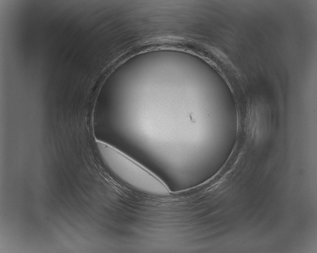 X0000073481209200607310842