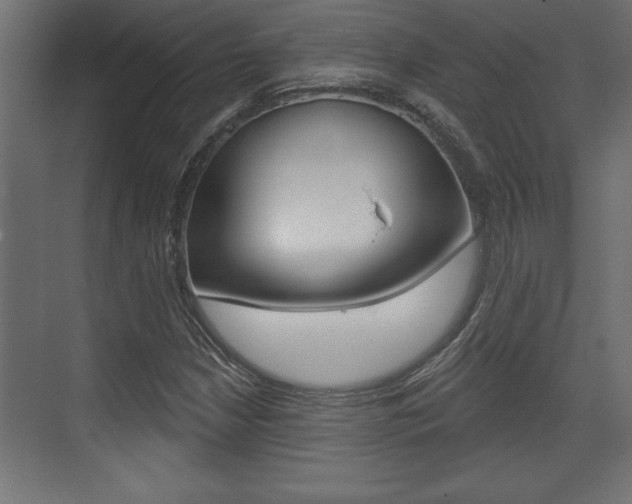 X0000073481210200607310842