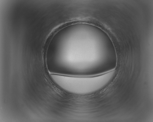 X0000073481214200607310842