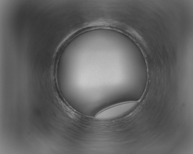 X0000073481216200607310842