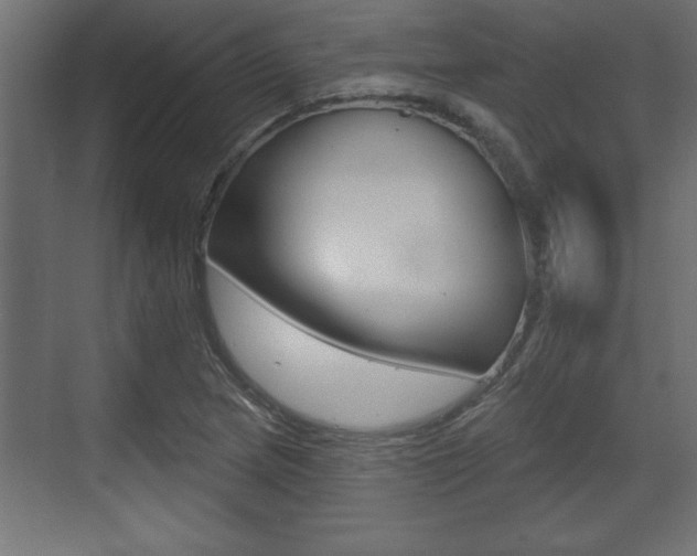 X0000073481217200607310842
