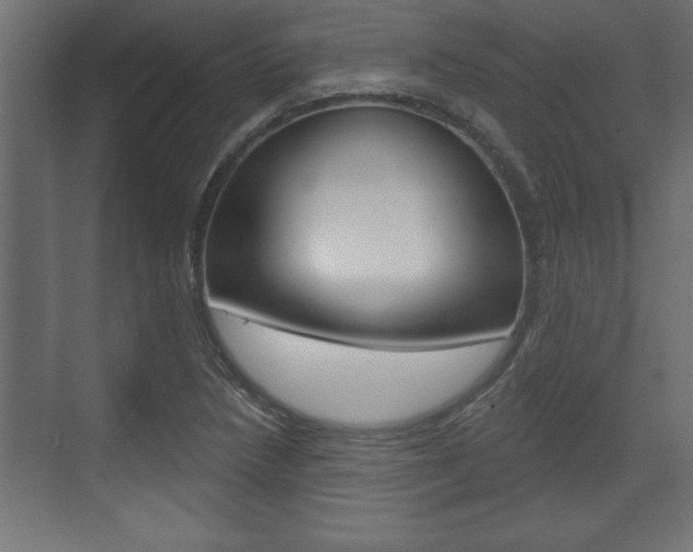 X0000073481218200607310842