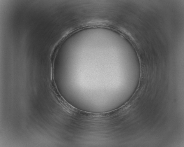 X0000073481219200607310842