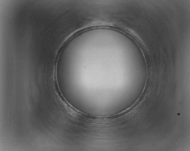 X0000073481220200607310842