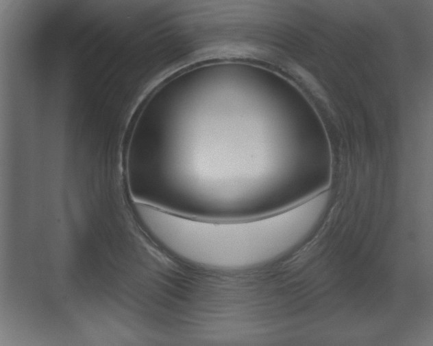 X0000073481226200607310842