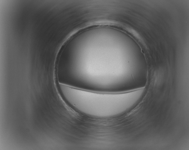 X0000073481229200607310842