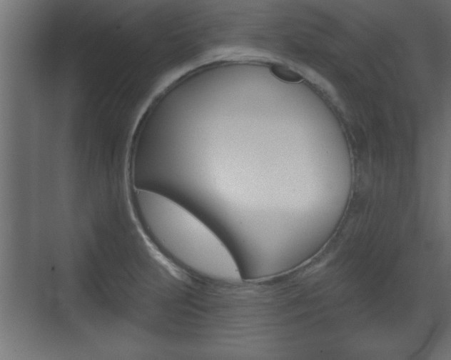 X0000073481231200607310842