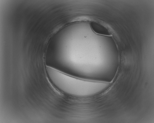 X0000073481233200607310842