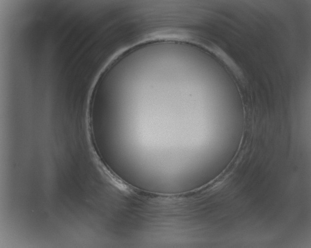 X0000073481240200607310843