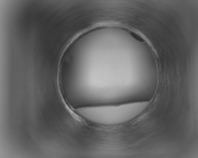 X0000073481245200607310843