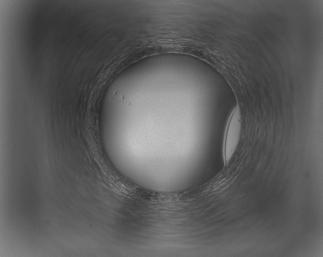 X0000073481249200607310842