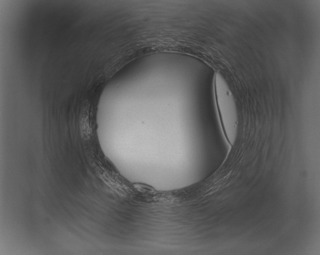 X0000073481250200607310842
