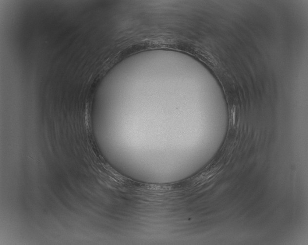 X0000073481251200607310842
