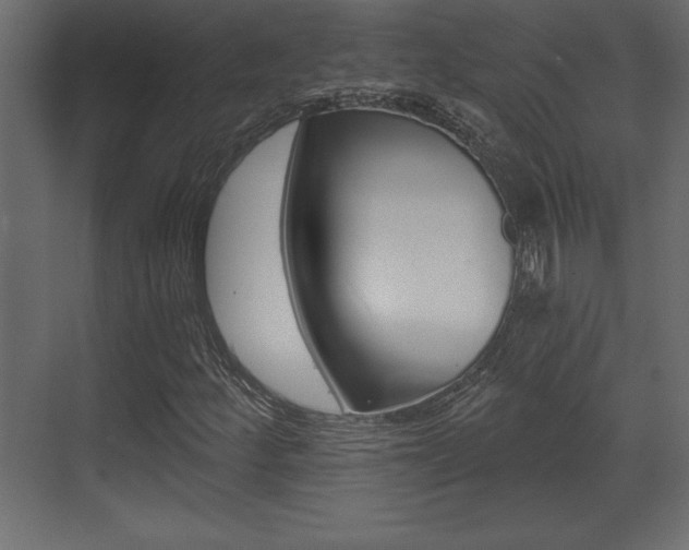 X0000073481252200607310842