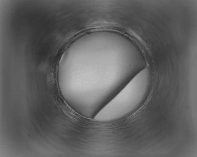 X0000073481259200607310842