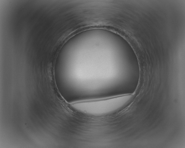 X0000073481265200607310842
