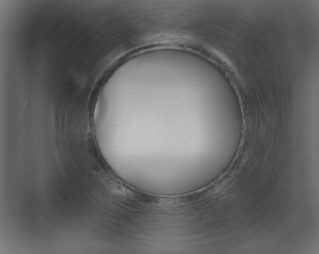X0000073481267200607310842
