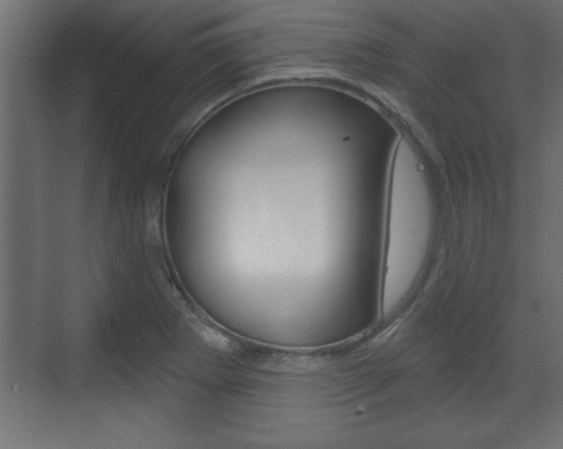 X0000073481273200607310842