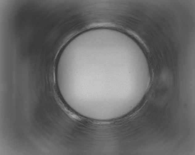 X0000073481274200607310842
